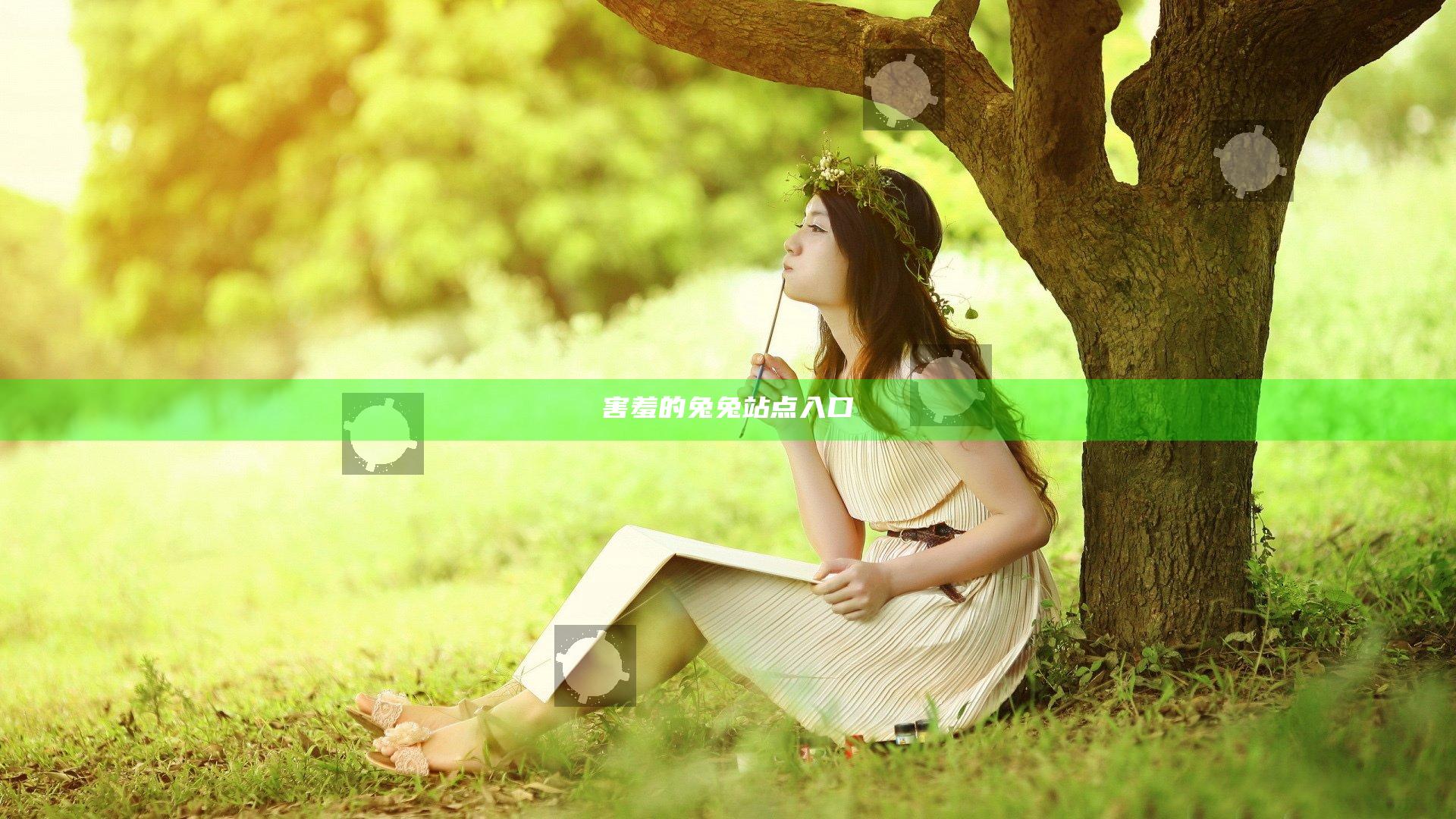 害羞的兔兔站点入口