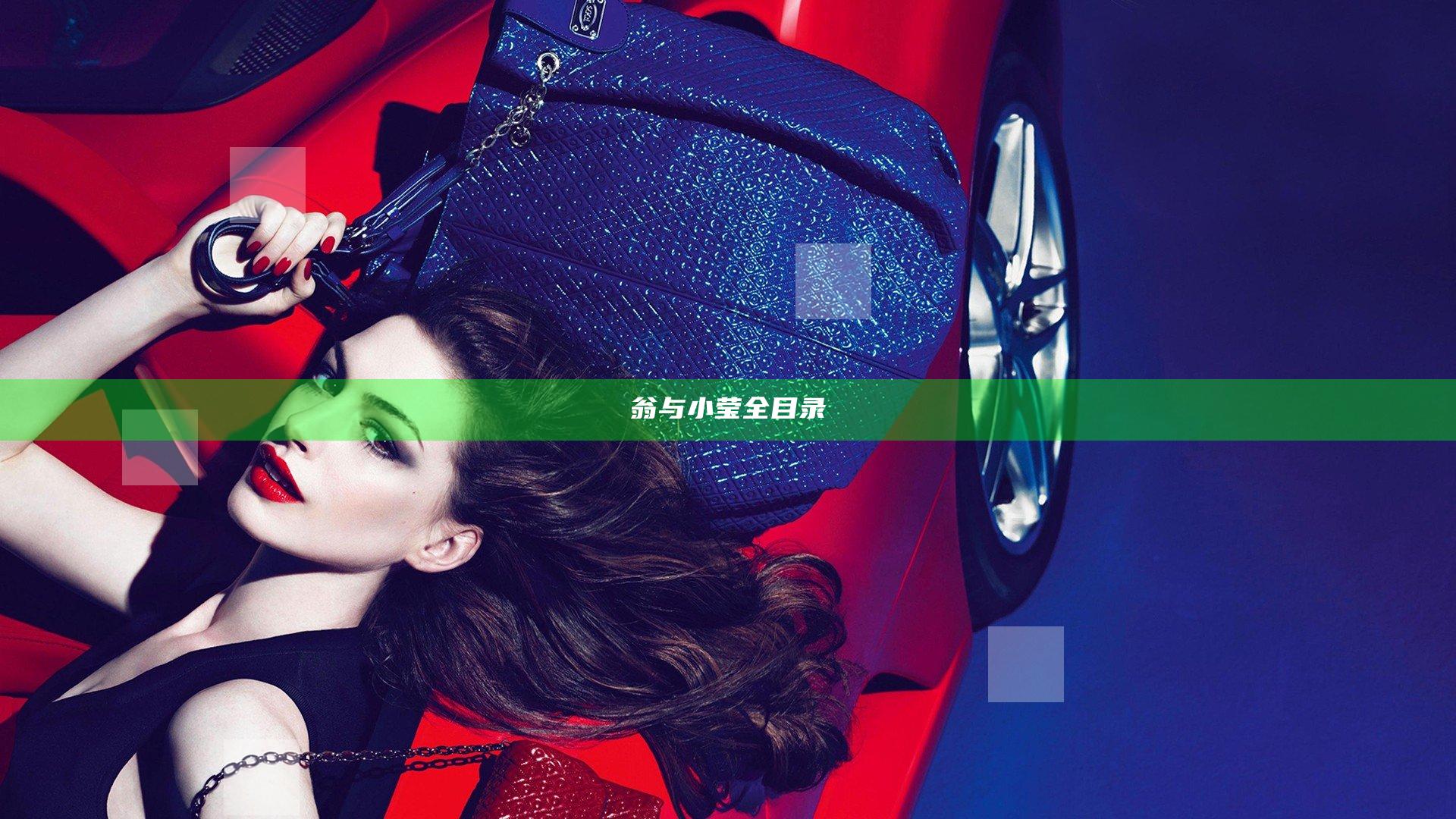 翁与小莹全目录