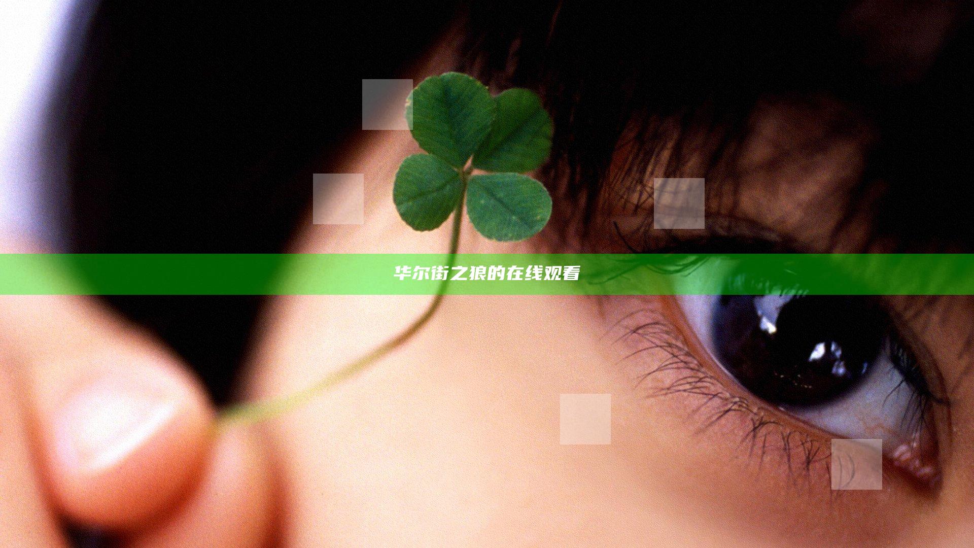 华尔街之狼的在线观看