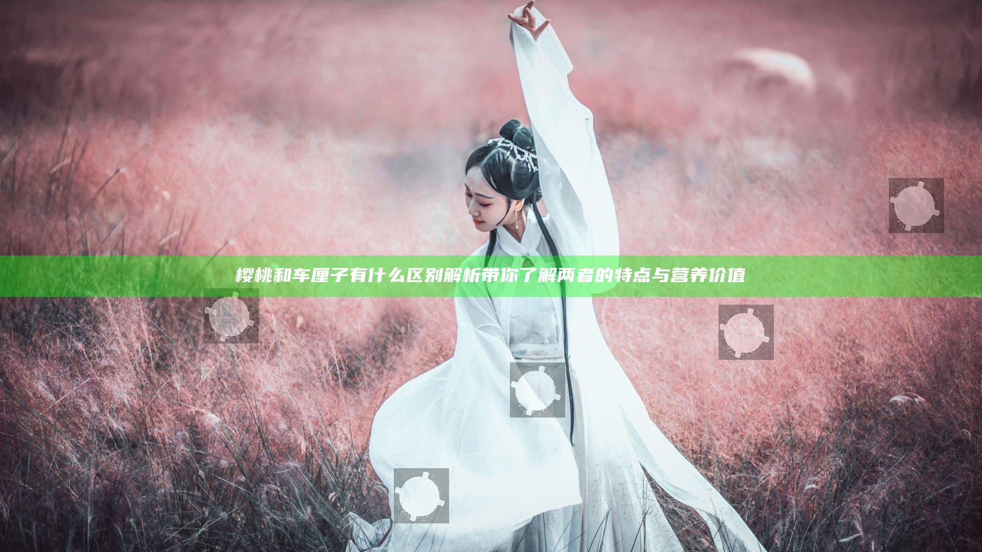 樱桃和车厘子有什么区别解析 带你了解两者的特点与营养价值
