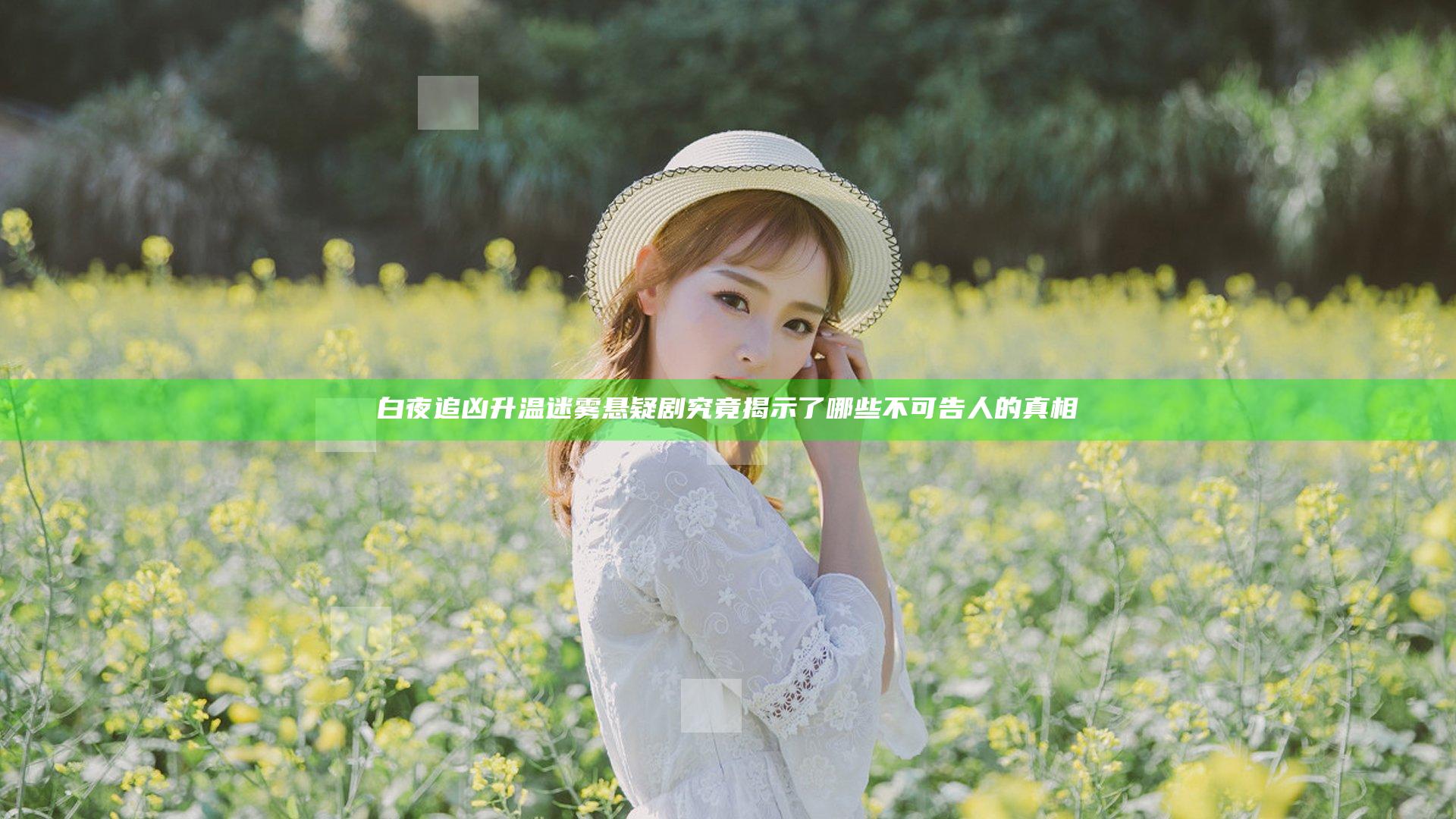 白夜追凶升温迷雾悬疑剧究竟揭示了哪些不可告人的真相