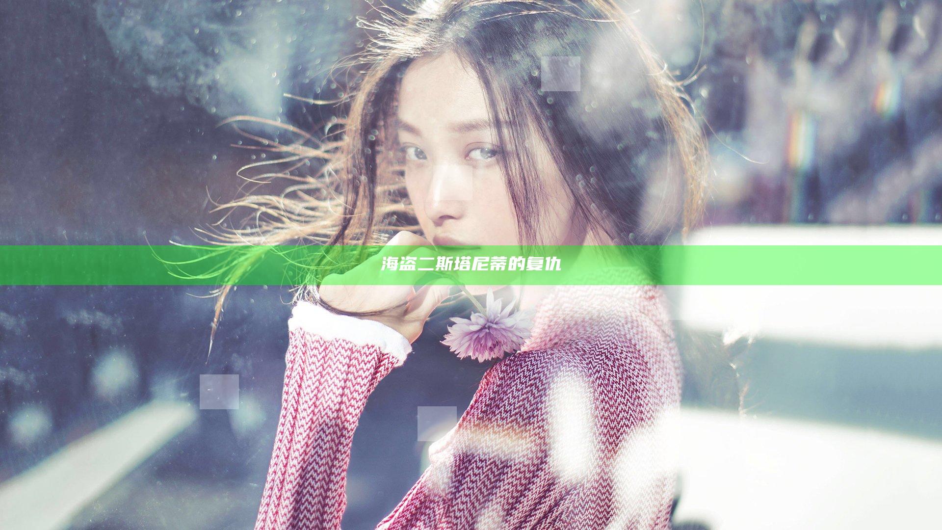 海盗二斯塔尼蒂的复仇